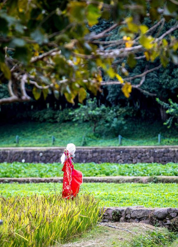 摄影照片取名【摄影照片投稿网站】