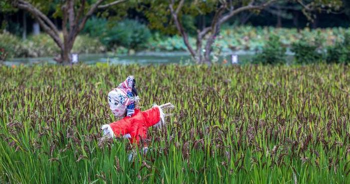摄影照片取名【摄影照片投稿网站】