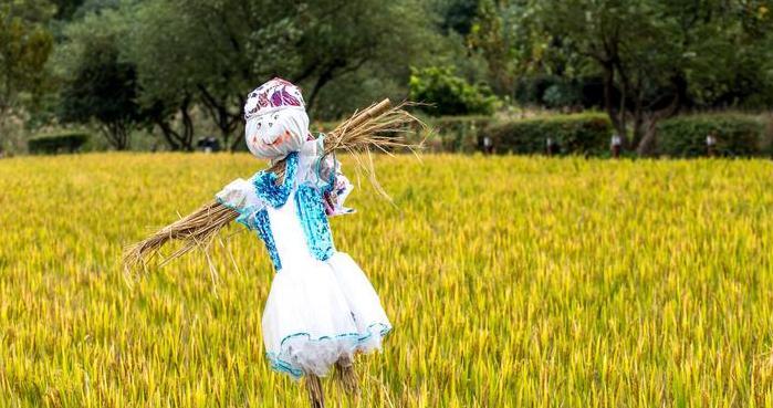 摄影照片取名【摄影照片投稿网站】