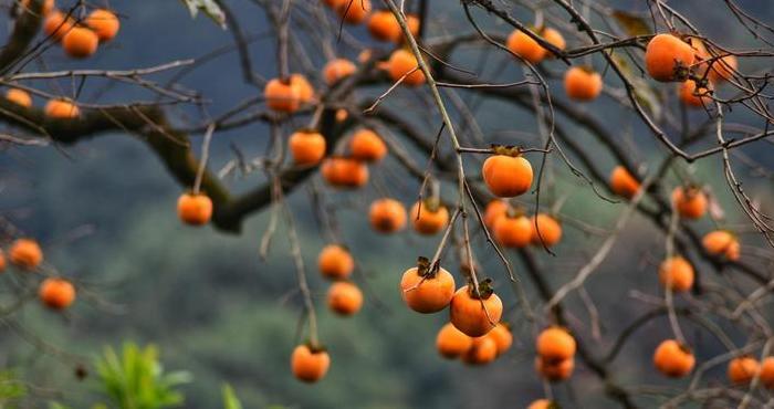 摄影照片取名【摄影照片投稿网站】