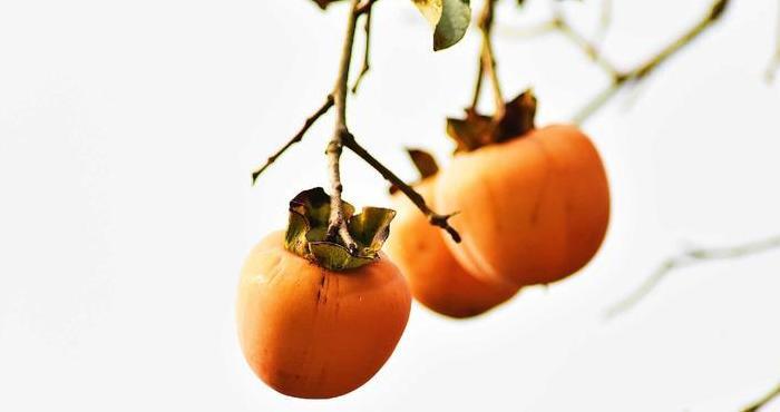 摄影照片取名【摄影照片投稿网站】