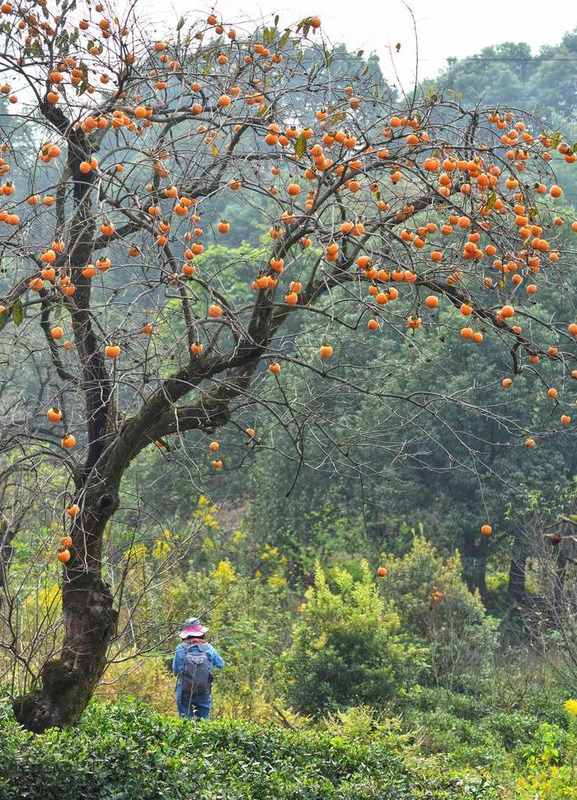 摄影照片取名【摄影照片投稿网站】