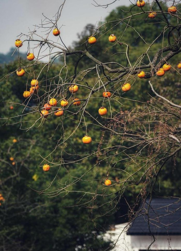 摄影照片取名【摄影照片投稿网站】