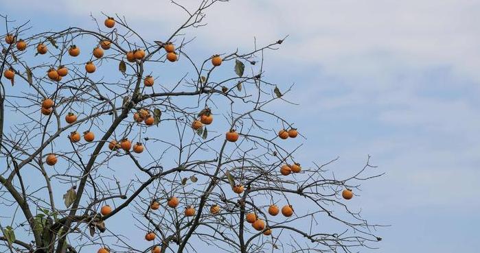 摄影照片取名【摄影照片投稿网站】