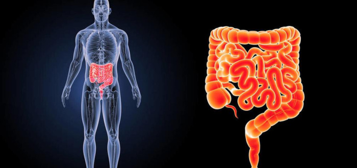 做肠镜姿势怎么样的【病人做肠镜的姿势图片】