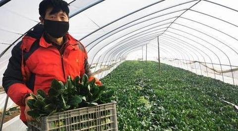 水果配送行业现状【配送水果利润怎么样】