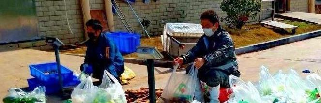 水果配送行业现状【配送水果利润怎么样】