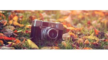 98虎女和97男牛相配婚姻如何【97牛男和98女虎相配吗】