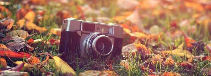 98虎女和97男牛相配婚姻如何【97牛男和98女虎相配吗】