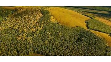 乌兰布统旅游天气【克什克腾旗乌兰布统乡天气】