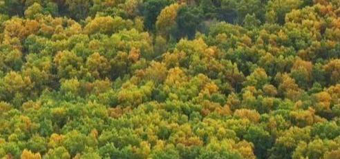 乌兰布统旅游天气【克什克腾旗乌兰布统乡天气】