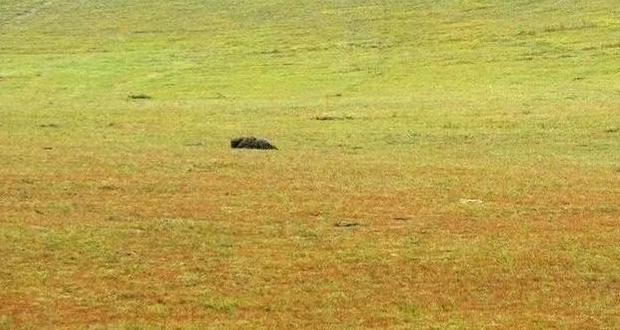 乌兰布统旅游天气【克什克腾旗乌兰布统乡天气】