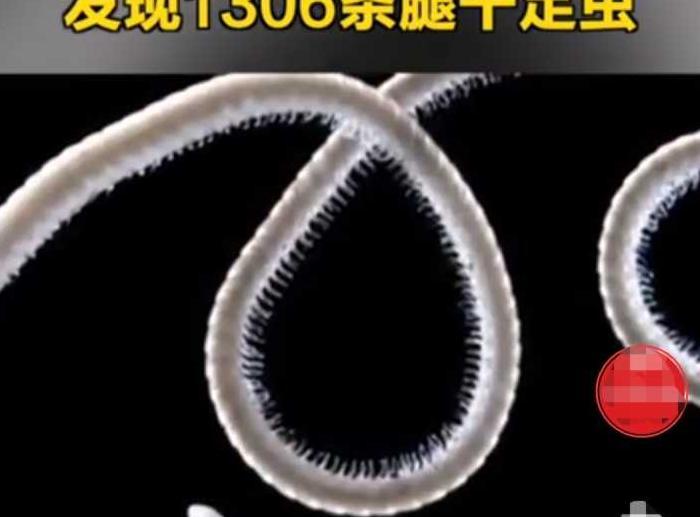 百足虫图片是不是益虫【百足虫图片马陆】