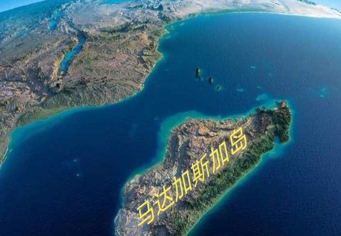 百足虫图片是不是益虫【百足虫图片马陆】