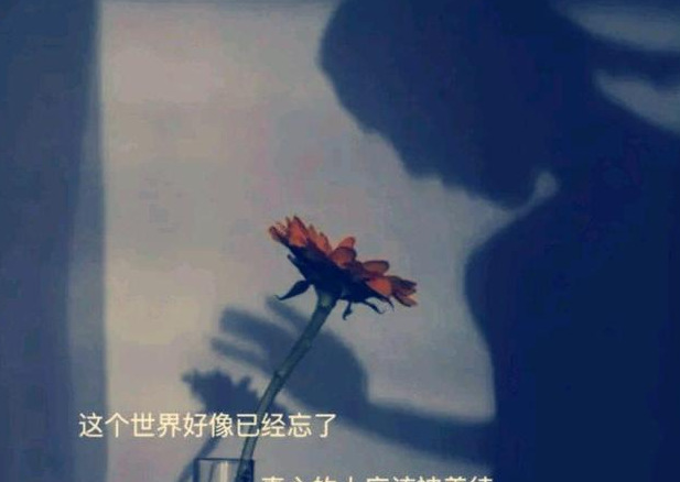 独自一人经典句子英文表达【独自一人经典句子诗句】