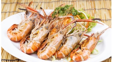 虾类名字大全【虾的名字大全】