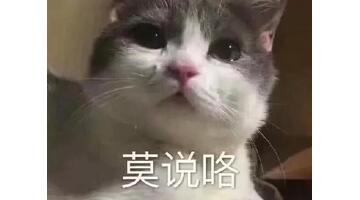 姐姐实力宠妹句子【宠亲妹妹朋友圈句子】