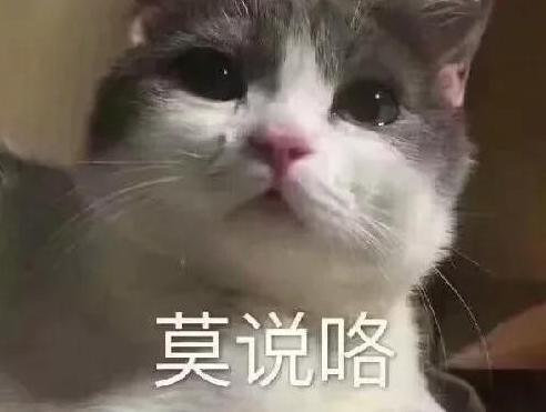 姐姐实力宠妹句子【宠亲妹妹朋友圈句子】