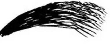 男人眉中一条竖纹【男人眉中间有一条竖纹】