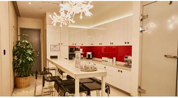 绿萝应该放在家里什么地方利于风水【绿萝放在家里风水好吗】