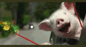 水晶洞洞口方向的摆放【水晶洞摆放在家里哪个位置】