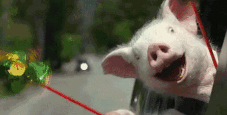 水晶洞洞口方向的摆放【水晶洞摆放在家里哪个位置】