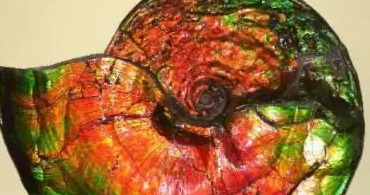 水晶洞洞口方向的摆放【水晶洞摆放在家里哪个位置】