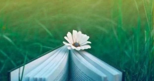 形容观众热烈欢快的场面四字词语【形容观众热烈欢快的场面相应的词语】