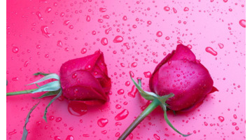 委婉拒绝别人的话怎么说词语【委婉拒绝别人的话短句】