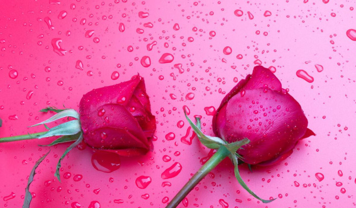 委婉拒绝别人的话怎么说词语【委婉拒绝别人的话短句】