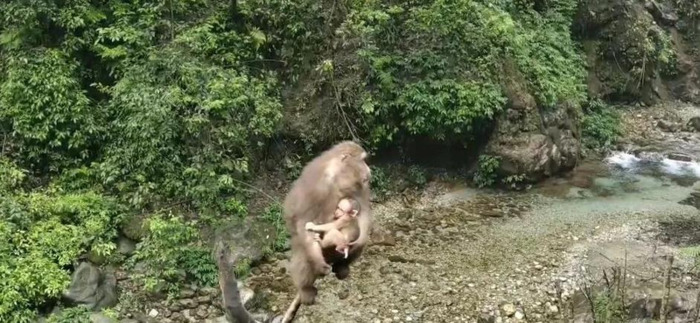 成都到峨眉山一日游攻略【成都 峨眉山攻略】