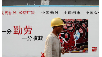 劳动实践感悟【劳动实践感悟怎么写】