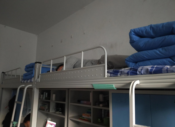 劳动实践感悟【劳动实践感悟怎么写】