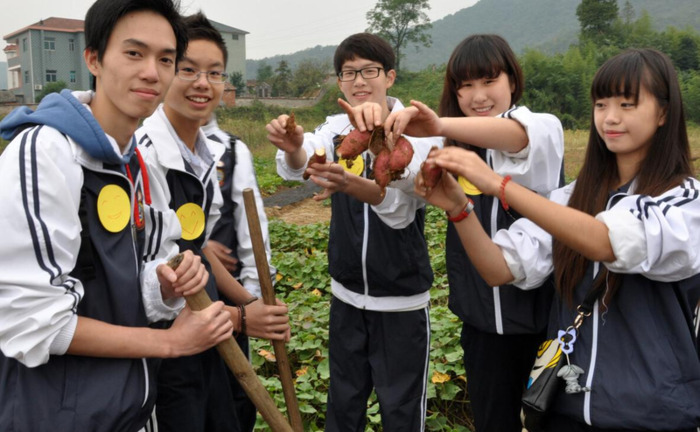 劳动实践感悟【劳动实践感悟怎么写】