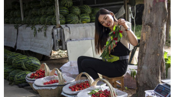 说一千道一万顺口溜【顺口溜】