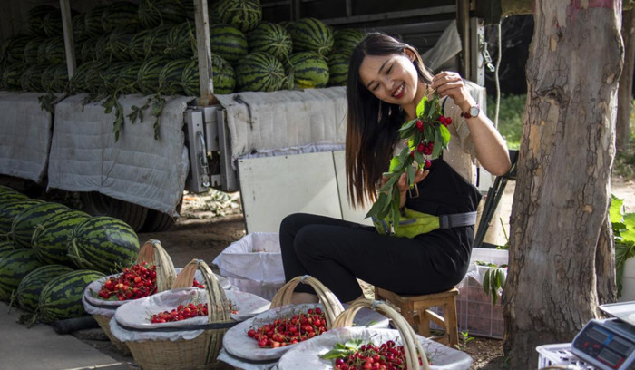 说一千道一万顺口溜【顺口溜】