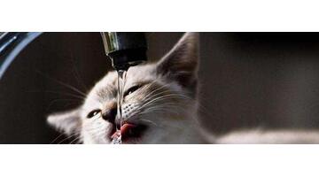 天津蒸馏水哪里有卖的【天津蒸馏水哪里可以买到】