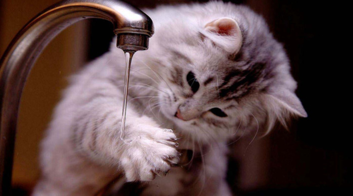 天津蒸馏水哪里有卖的【天津蒸馏水哪里可以买到】