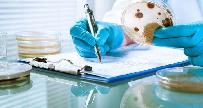 头孢照片实物【头孢照片 真实图片】