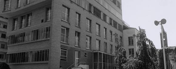 夜视频【夜视频解析】