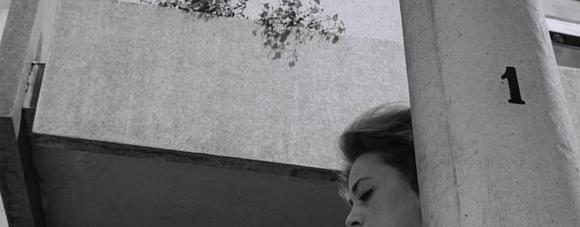 夜视频【夜视频解析】