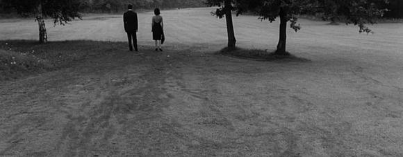 夜视频【夜视频解析】