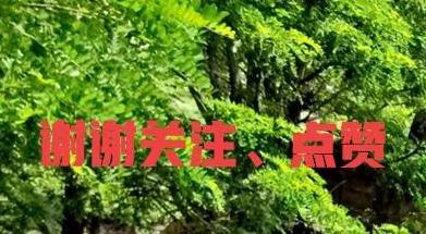 纳音五行【纳音五行掌诀快速记忆】