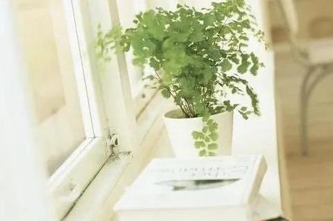 四十岁生日寄语致自己【女人四十岁生日寄语致自己】