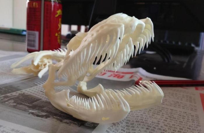 蛇怎么配对繁殖【蛇和蛇配对】