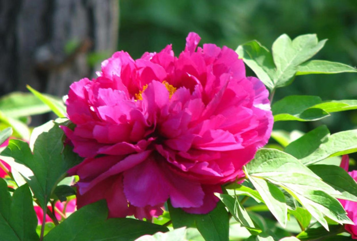 充塞四虚读音是什么【充塞四虚的意思】