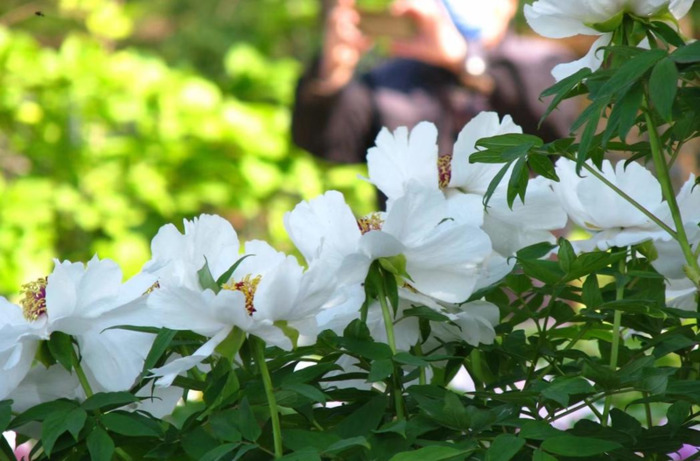 充塞四虚读音是什么【充塞四虚的意思】