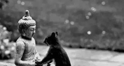 磕大头和磕小头哪个功德大【磕头的功德最大吗】