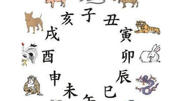 子水是阳性还是阴性【子水代表什么】