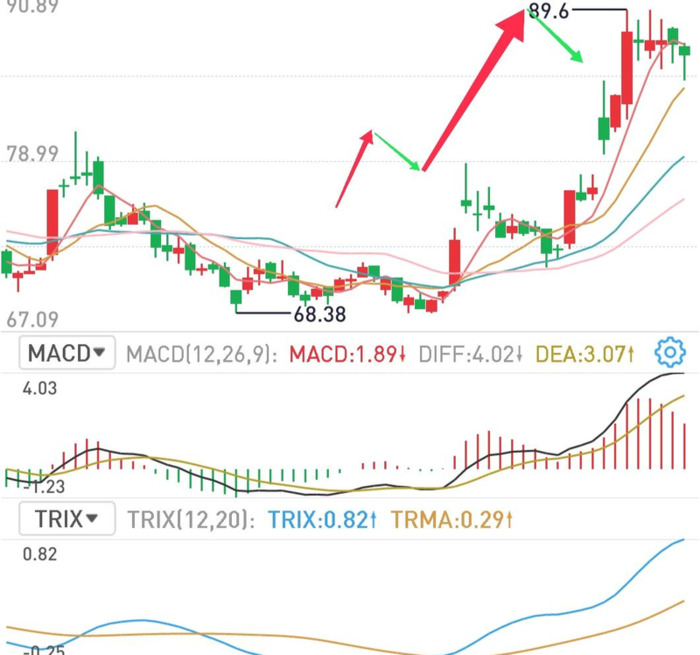 顺势而为什么意思【顺势而为的意思】
